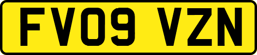 FV09VZN