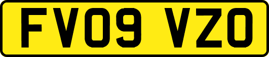 FV09VZO