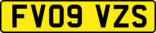 FV09VZS