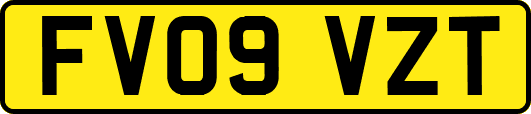 FV09VZT