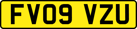 FV09VZU