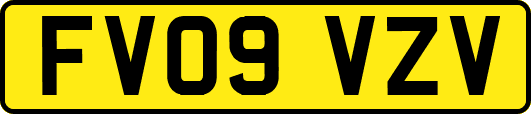 FV09VZV