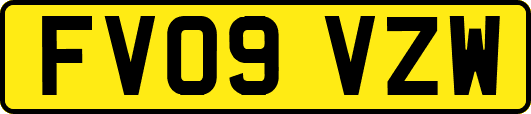 FV09VZW