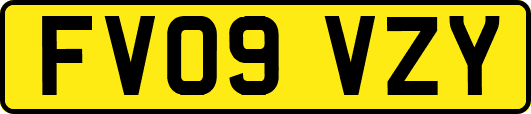 FV09VZY