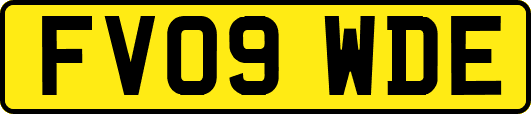 FV09WDE