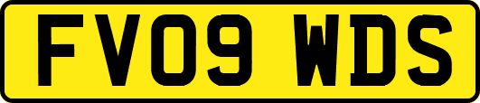 FV09WDS