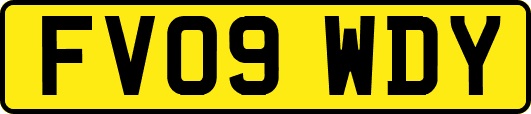FV09WDY