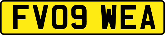 FV09WEA