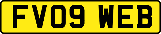 FV09WEB