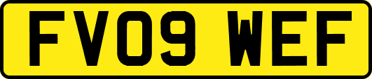 FV09WEF