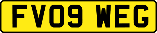 FV09WEG