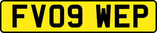 FV09WEP