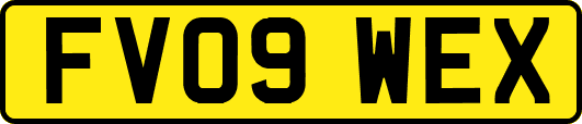 FV09WEX
