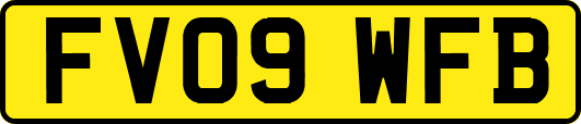 FV09WFB