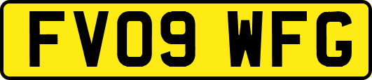 FV09WFG