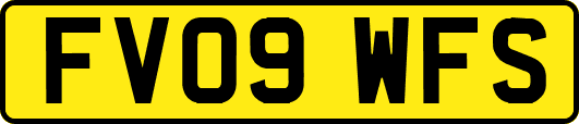 FV09WFS