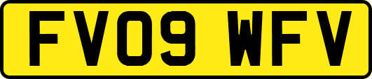 FV09WFV