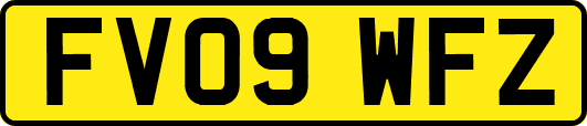 FV09WFZ