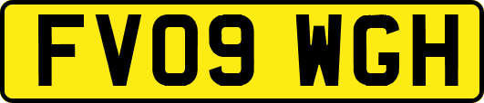 FV09WGH