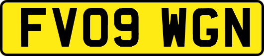 FV09WGN