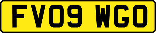 FV09WGO