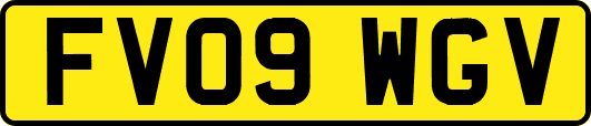 FV09WGV