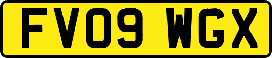 FV09WGX