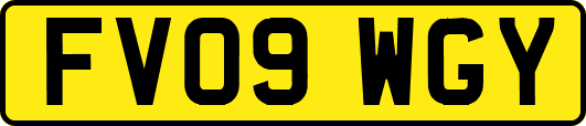FV09WGY