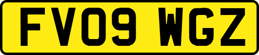 FV09WGZ