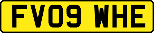 FV09WHE
