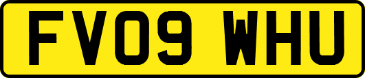 FV09WHU