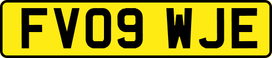 FV09WJE