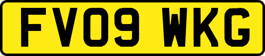 FV09WKG