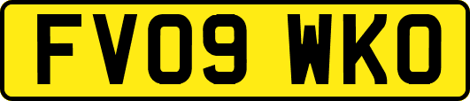 FV09WKO