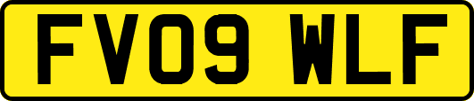 FV09WLF