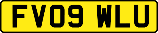 FV09WLU