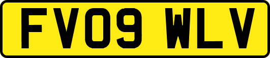 FV09WLV