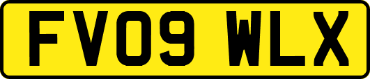 FV09WLX