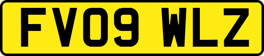 FV09WLZ