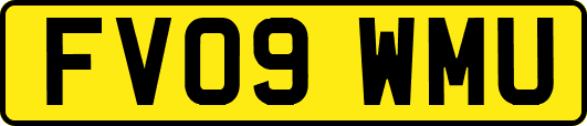 FV09WMU