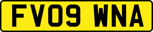 FV09WNA