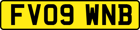 FV09WNB
