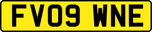 FV09WNE