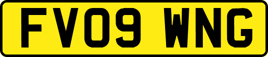 FV09WNG
