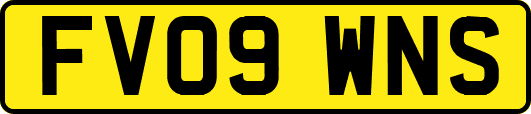 FV09WNS