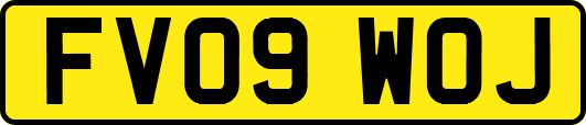 FV09WOJ