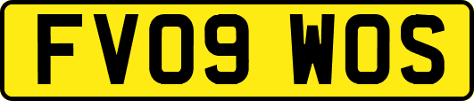 FV09WOS