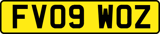 FV09WOZ