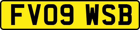 FV09WSB