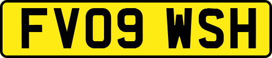 FV09WSH